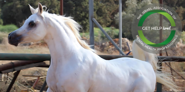 Life Skills Taught By Horses