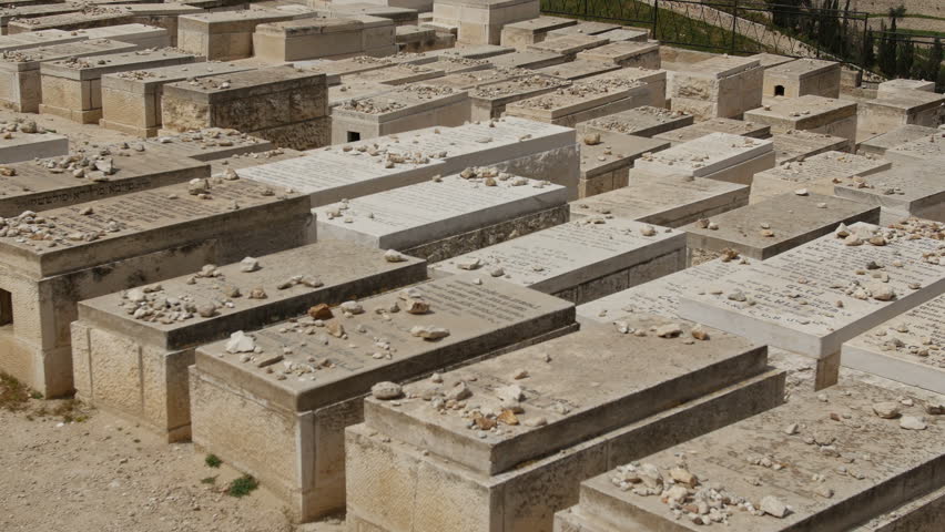 Grief for the Loss of our Parents